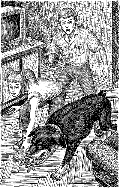 Иллюстрация к книге — Чудовище с улицы Розы [ris4.png]