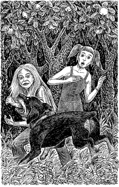 Иллюстрация к книге — Чудовище с улицы Розы [ris5.png]