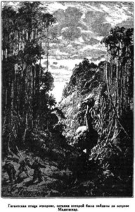 Иллюстрация к книге — Открытие Земли [pic_128.jpg]