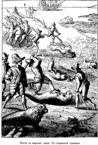 Иллюстрация к книге — Открытие Земли [pic_143.png]