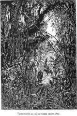 Иллюстрация к книге — Мореплаватели XVIII века [pic_140.jpg]