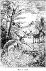 Иллюстрация к книге — Мореплаватели XVIII века [pic_77.jpg]