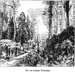 Иллюстрация к книге — Мореплаватели XVIII века [pic_83.jpg]