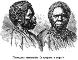 Иллюстрация к книге — Мореплаватели XVIII века [pic_84.jpg]