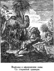 Иллюстрация к книге — Мореплаватели XVIII века [pic_99.jpg]