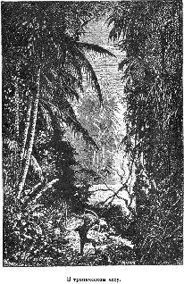 Иллюстрация к книге — Путешественники XIX века [pic_112.jpg]