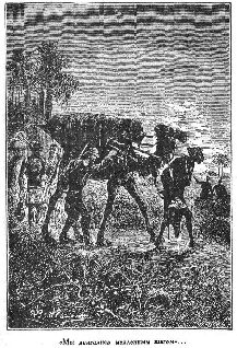 Иллюстрация к книге — Путешественники XIX века [pic_24.jpg]