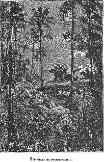 Иллюстрация к книге — Путешественники XIX века [pic_28.jpg]