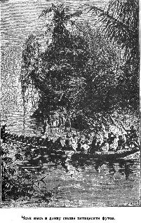 Иллюстрация к книге — Путешественники XIX века [pic_35.jpg]