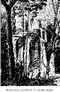 Иллюстрация к книге — Путешественники XIX века [pic_86.png]