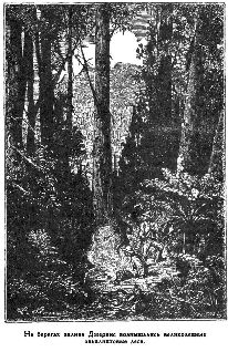 Иллюстрация к книге — Путешественники XIX века [pic_99.jpg]