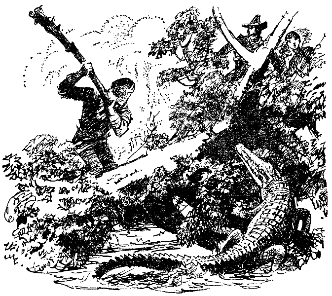 Иллюстрация к книге — Дети Капитана Гранта [g17.png]