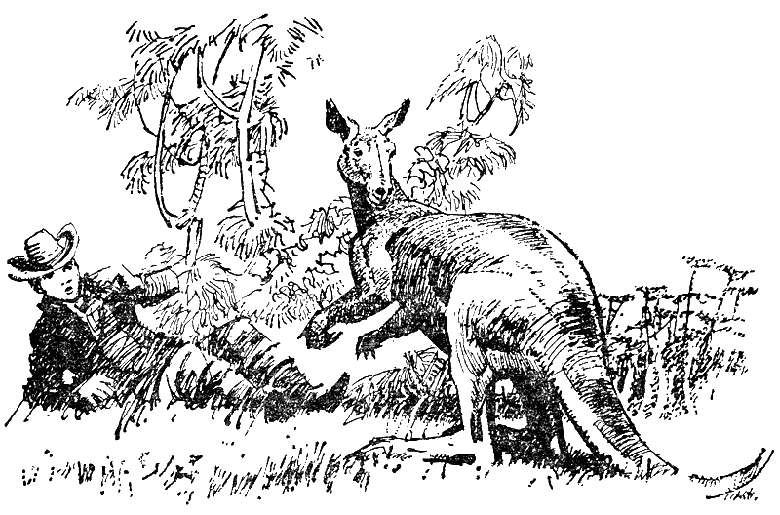 Иллюстрация к книге — Дети Капитана Гранта [g28.png]