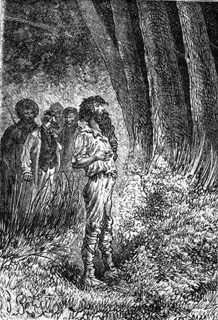 Иллюстрация к книге — Таинственный остров [_520.jpg]