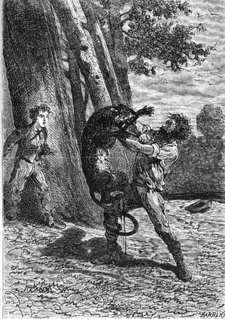 Иллюстрация к книге — Таинственный остров [_535.jpg]