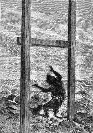 Иллюстрация к книге — Таинственный остров [_565.jpg]