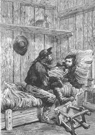 Иллюстрация к книге — Таинственный остров [_697.jpg]