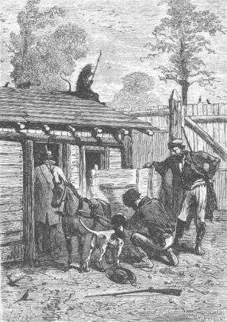 Иллюстрация к книге — Таинственный остров [_709.jpg]