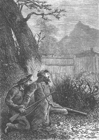 Иллюстрация к книге — Таинственный остров [_741.jpg]