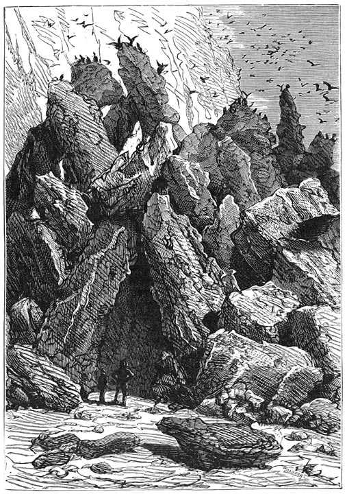 Иллюстрация к книге — Таинственный остров [p021.jpg]