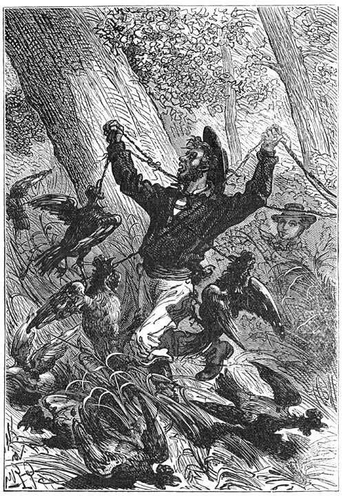 Иллюстрация к книге — Таинственный остров [p033.jpg]