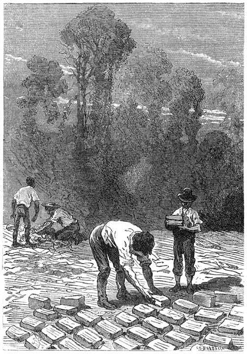 Иллюстрация к книге — Таинственный остров [p073.jpg]