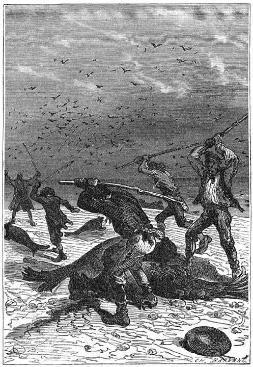 Иллюстрация к книге — Таинственный остров [p089.jpg]