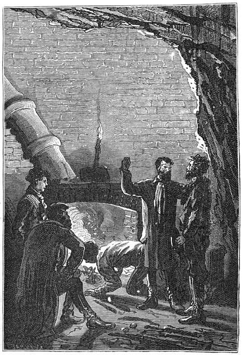 Иллюстрация к книге — Таинственный остров [p121.jpg]