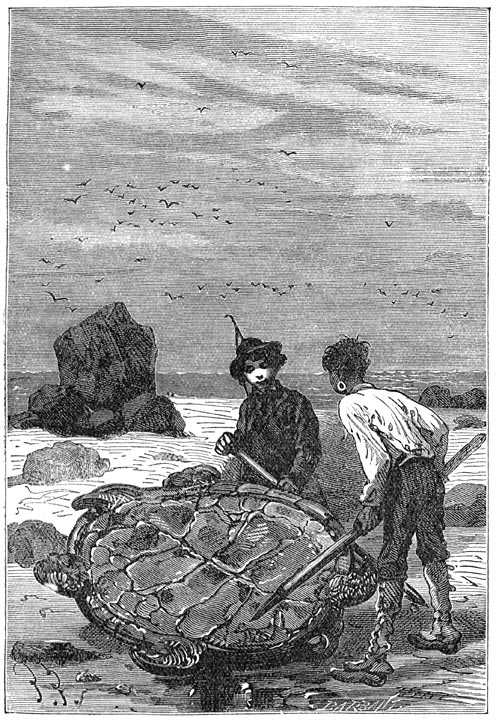 Иллюстрация к книге — Таинственный остров [p145.jpg]