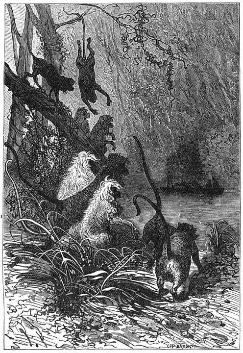 Иллюстрация к книге — Таинственный остров [p161.jpg]