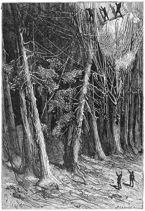 Иллюстрация к книге — Таинственный остров [p173.jpg]