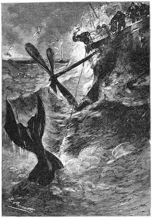 Иллюстрация к книге — Робур-Завоеватель [p113.jpg]