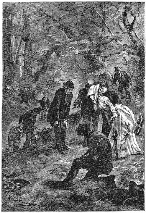 Иллюстрация к книге — Робур-Завоеватель [p217.jpg]