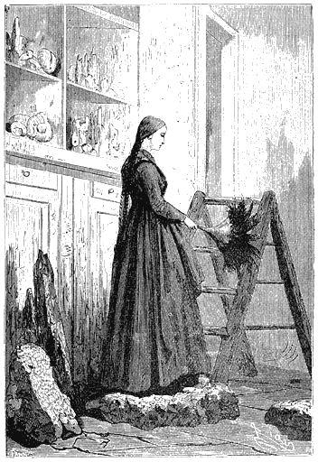 Иллюстрация к книге — Путешествие к центру Земли [p013.png]