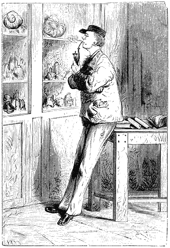 Иллюстрация к книге — Путешествие к центру Земли [p021.png]