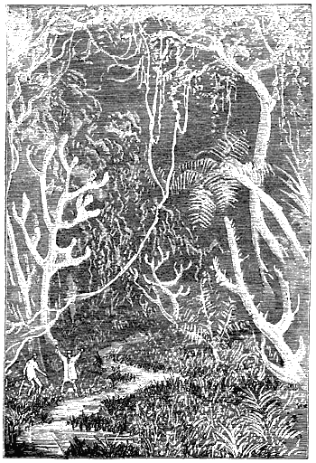 Иллюстрация к книге — Путешествие к центру Земли [p197.png]