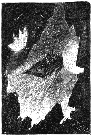 Иллюстрация к книге — Путешествие к центру Земли [p221.png]