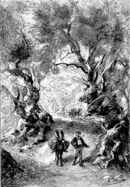 Иллюстрация к книге — Кловис Дардантор [i_020.png]