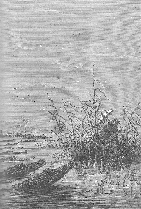 Иллюстрация к книге — Приключения троих русских и троих англичан [10_001.jpg]