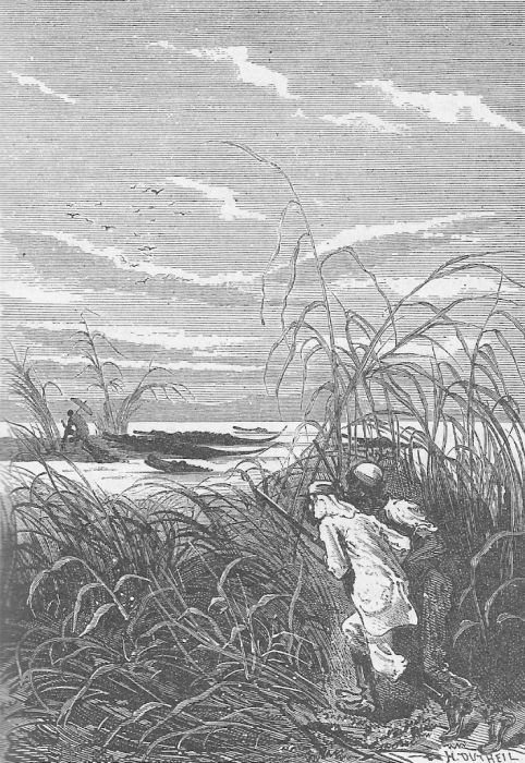 Иллюстрация к книге — Приключения троих русских и троих англичан [11_001.jpg]