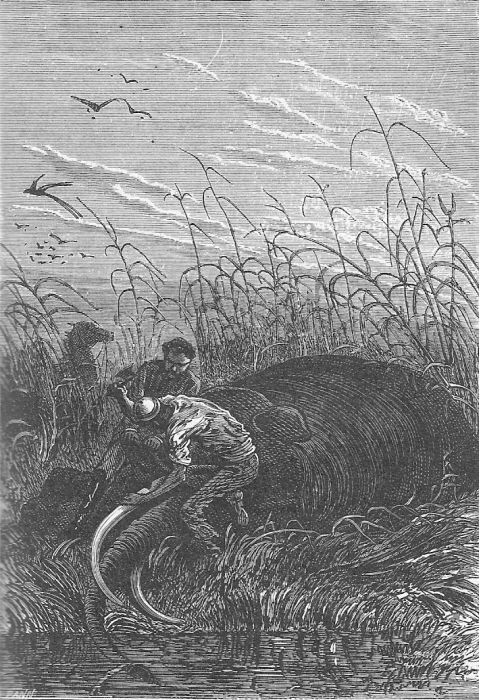 Иллюстрация к книге — Приключения троих русских и троих англичан [7_001.jpg]