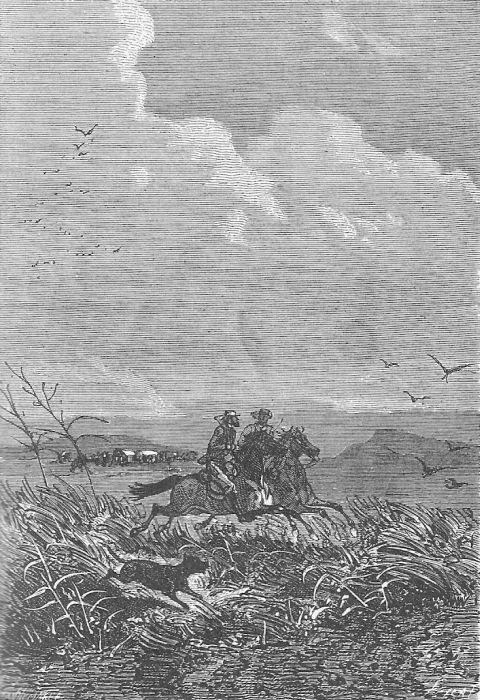 Иллюстрация к книге — Приключения троих русских и троих англичан [_001.jpg]