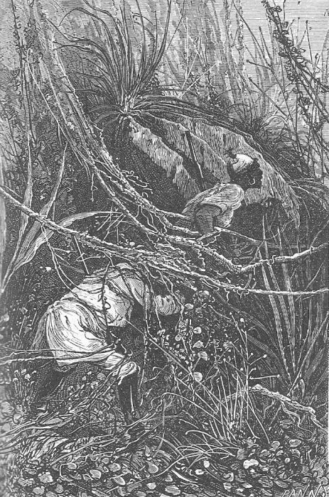 Иллюстрация к книге — Приключения троих русских и троих англичан [_037.jpg]