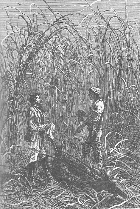 Иллюстрация к книге — Приключения троих русских и троих англичан [_038.jpg]