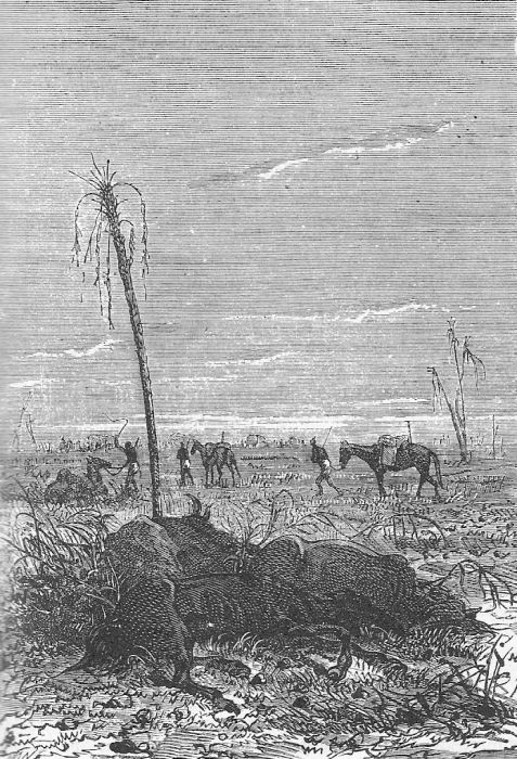 Иллюстрация к книге — Приключения троих русских и троих англичан [_042.jpg]