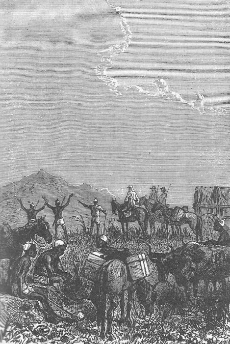 Иллюстрация к книге — Приключения троих русских и троих англичан [_043.jpg]