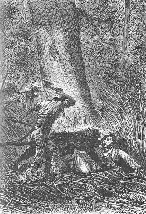 Иллюстрация к книге — Приключения троих русских и троих англичан [_055.jpg]