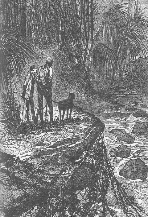 Иллюстрация к книге — Приключения троих русских и троих англичан [i_004.jpg]