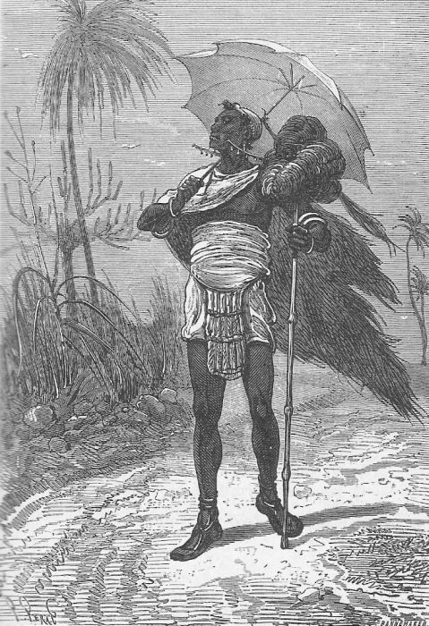 Иллюстрация к книге — Приключения троих русских и троих англичан [i_010.jpg]