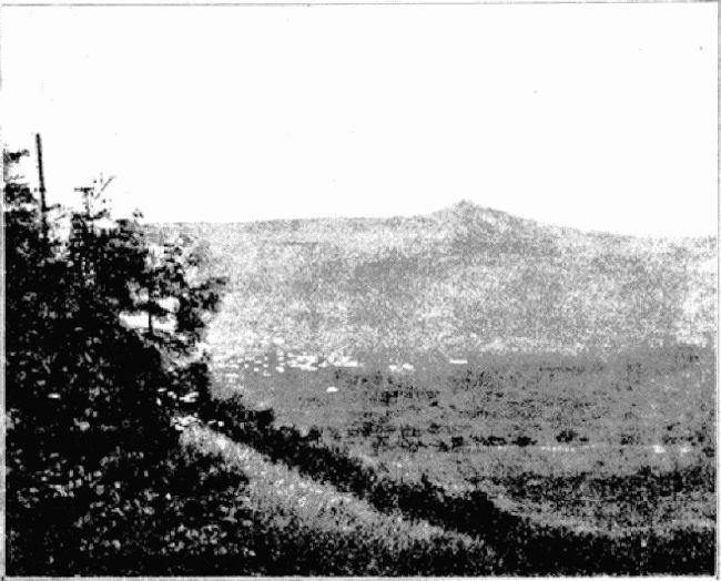 Иллюстрация к книге — Агентство «Томпсон и K°» [i_043.jpg]